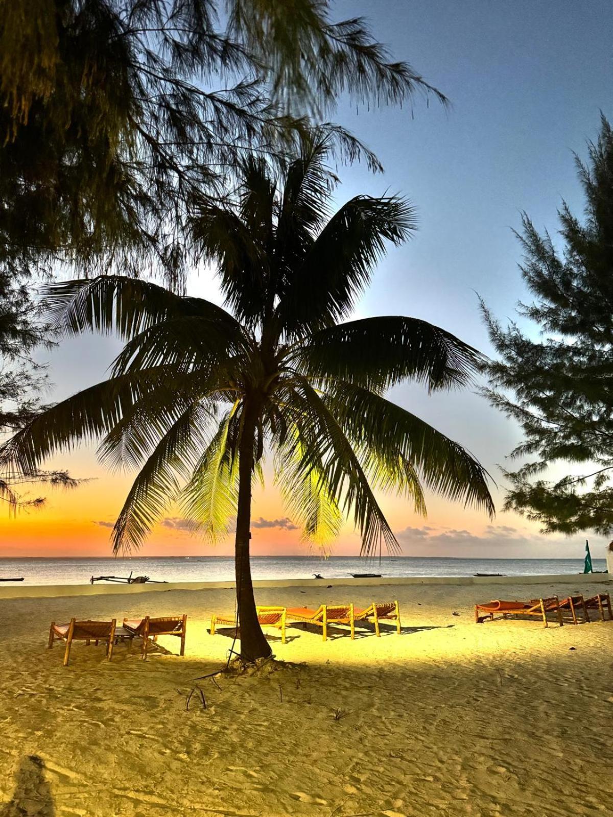 Bahati Sunset Bungalows Michamvi Exteriör bild