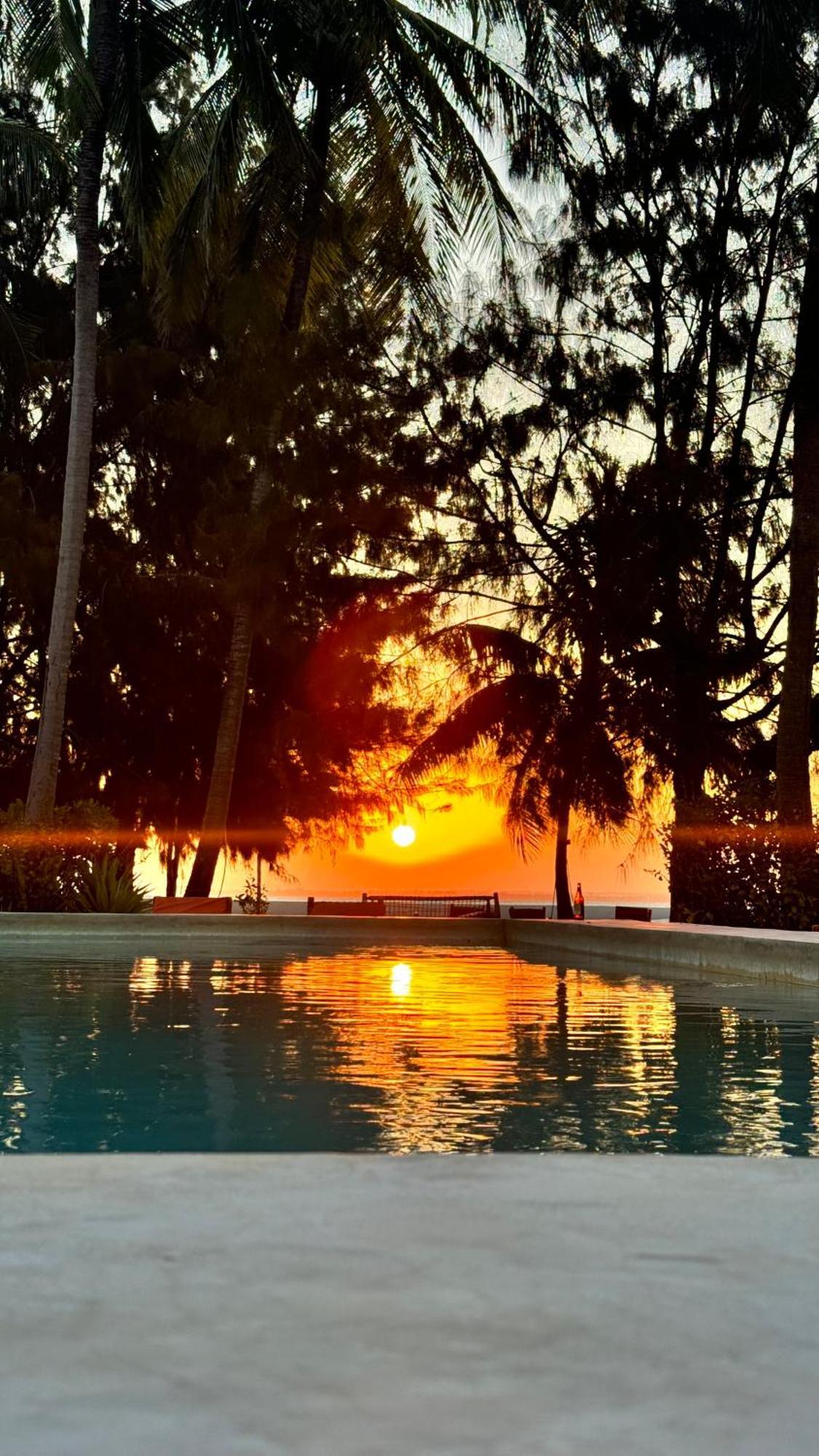 Bahati Sunset Bungalows Michamvi Exteriör bild