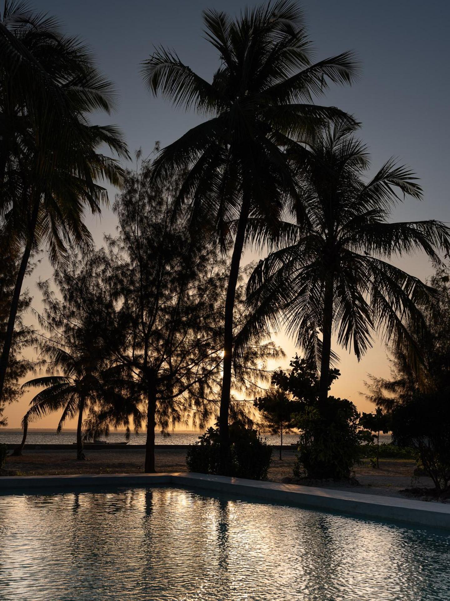 Bahati Sunset Bungalows Michamvi Exteriör bild